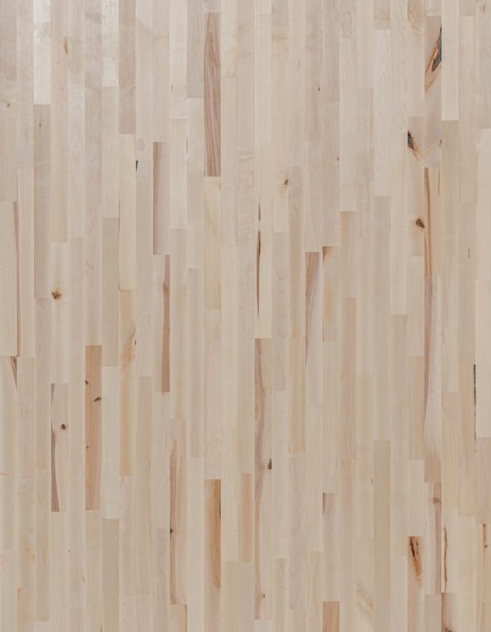 Gurgen_Ekli_AB_B(Hornbeam_FJ_AB_B)