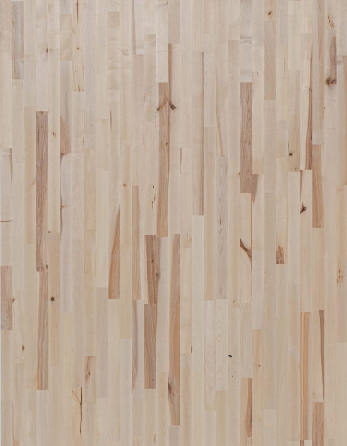 Gurgen_Ekli_BB_1(Hornbeam_FJ_BB_1)