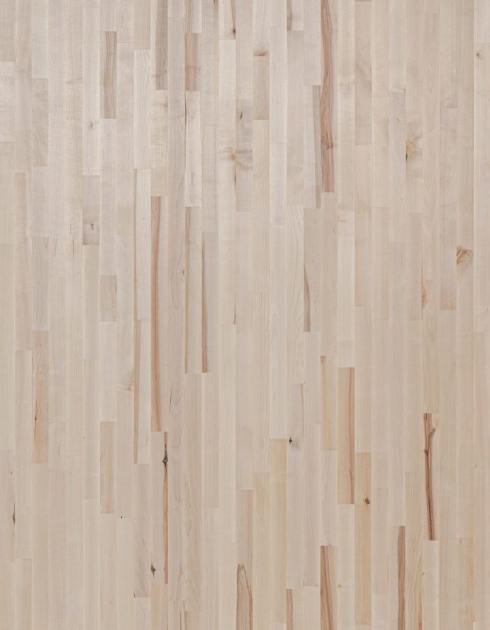 Gurgen_Ekli_BB_2(Hornbeam_FJ_BB_2)