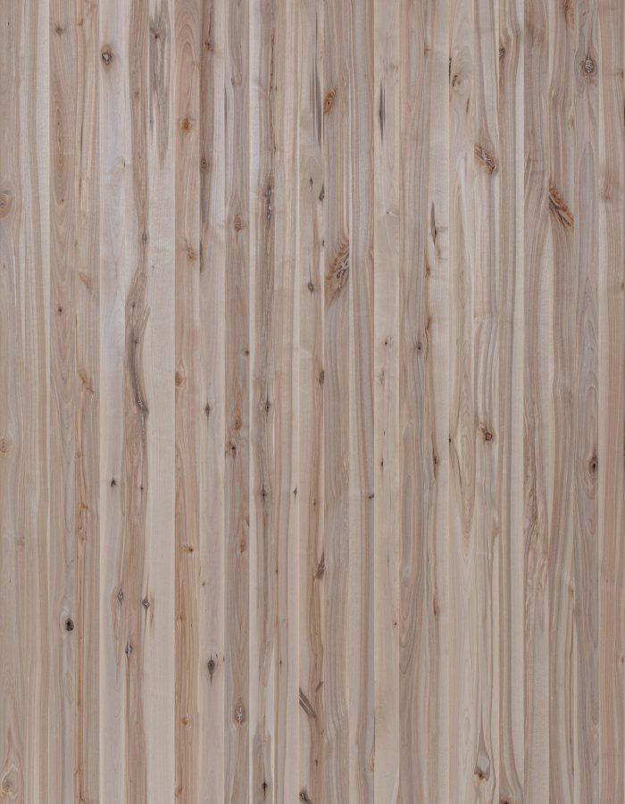 Gurgen_Rustik_1(Hornbeam_Rustic_1)