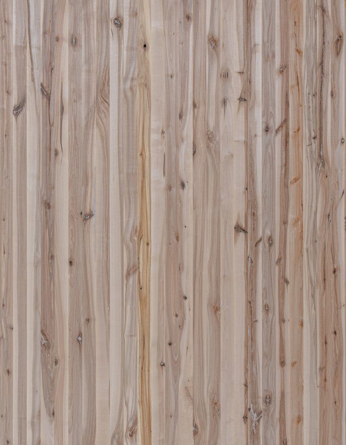 Gurgen_Rustik_2(Hornbeam_Rustic_2)